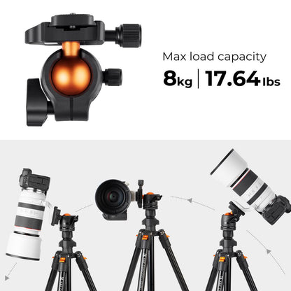 Lightweight Aluminum Camera Tripod 64 Inch with 360 Degree Ball Head for DSLR & Video Recording