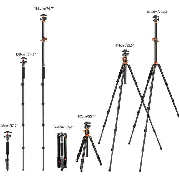 73" Aluminum Camera Tripod with 360° Ball Head, DSLR Tripod with Quick Release Plate & Monopod