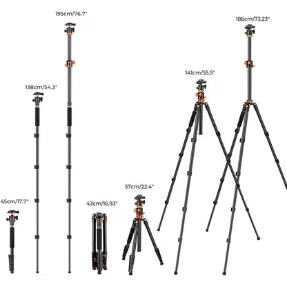 73" Aluminum Camera Tripod with 360° Ball Head, DSLR Tripod with Quick Release Plate & Monopod