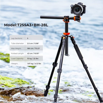 73" Aluminum Camera Tripod with 360° Ball Head, DSLR Tripod with Quick Release Plate & Monopod
