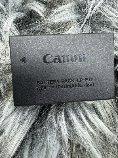 Canon EOS 77D 24.2 MP Digital Slr Camera with EF-S 18-55mm + ef-s 55-250mm Lenses