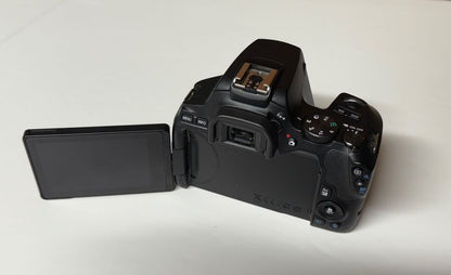 Canon EOS Rebel SL3 dSLR with Five Lenses and Accessories